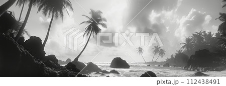 Black and white photo of the sea coast with palm trees and rocks, vacation on the sea or ocean, banner 112438491
