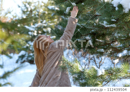 Girl in fur coat walks through pine forest and takes snow from the branches of trees. Winter holidays. 112439504