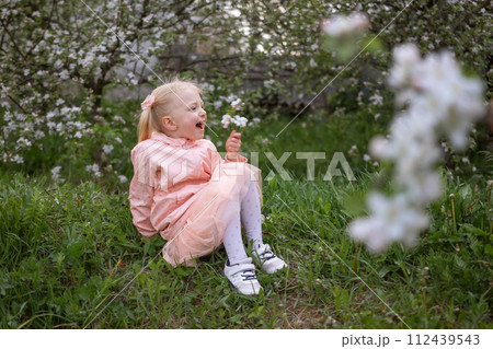 Little Caucasian girl sitting on grass in flowering garden. Child girl 4-5 years old with two ponytails wears pink dress surrounded by flowering trees. 112439543