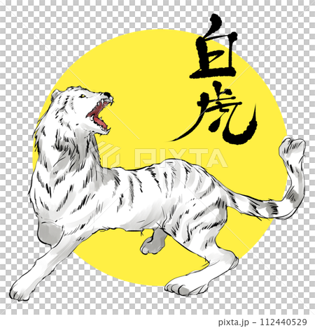 白虎插畫素材 112440529