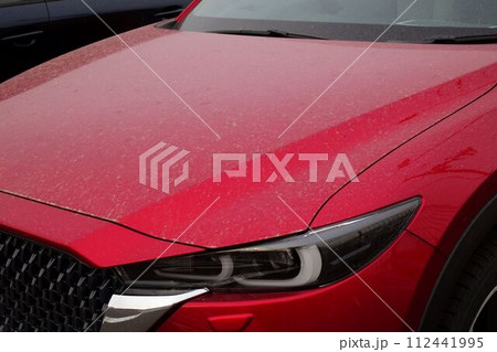 汚れた車のボディ ボンネット 汚れた車のボディ ボンネット 112441995