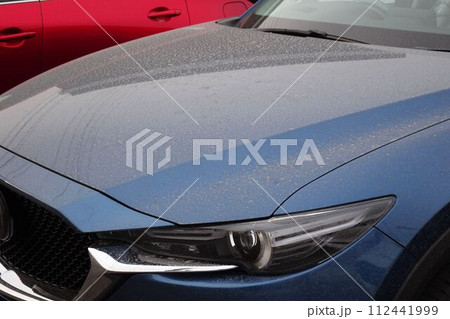 汚れた自動車のボンネット 112441999