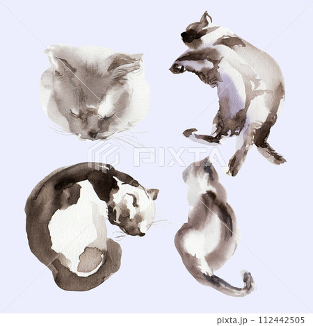 Set of abstract cat sketch, animal print stains, beautiful shapes, pastel color palette. Watercolor illustration of sleeping, lying, playing pet 112442505