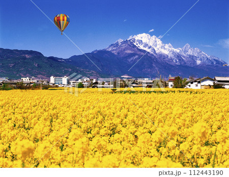 麗江古城の菜の花畑より見た玉龍雪山 麗江古城の菜の花畑より見た玉龍雪山 112443190
