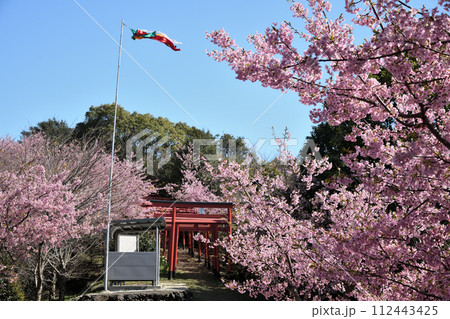 稲葉根社(日本最古の稲荷跡)【和歌山県有田市】 稲葉根社(日本最古の稲荷跡)【和歌山県有田市】 112443425