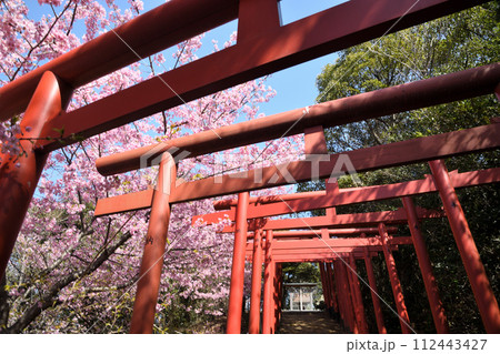 稲葉根社（日本最古の稲荷跡）【和歌山県有田市】 112443427