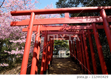 稲葉根社（日本最古の稲荷跡）【和歌山県有田市】 112443429