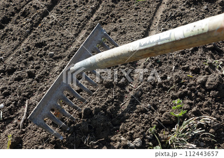 ホウレンソウの種まき後の覆土 ホウレンソウの種まき後の覆土 112443657