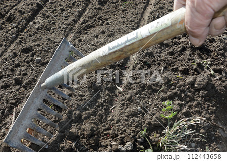 ホウレンソウの種まき後の覆土 112443658