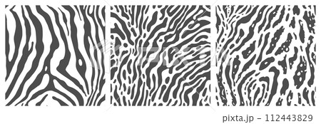 Set of monochrome zebra print backgrounds. Set of monochrome zebra print backgrounds. 112443829