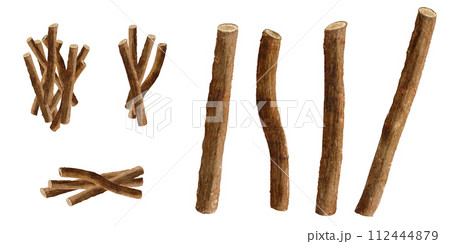 甘草（カンゾウ） 漢方薬の水彩画イラスト 112444879