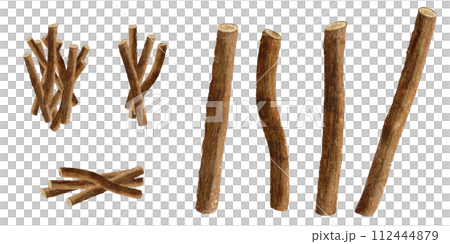 甘草（カンゾウ） 漢方薬の水彩画イラスト 112444879