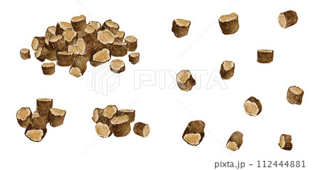 甘草（カンゾウ） 漢方薬の水彩画イラスト 112444881