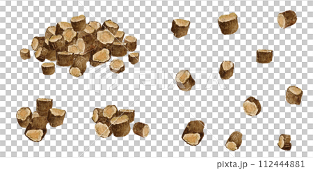 甘草（カンゾウ） 漢方薬の水彩画イラスト 112444881