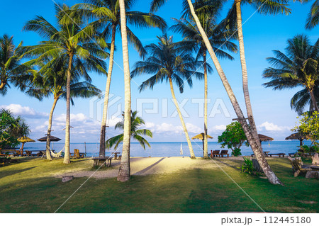 Beach and coconut trees on the island Beach and coconut trees on the island 112445180