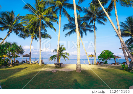 Beach and coconut trees on the island Beach and coconut trees on the island 112445196