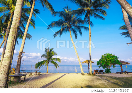Beach and coconut trees on the island 112445197