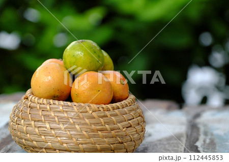 Isolated pink lemon fruit cut in half on green background 112445853