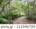 古代の山城　鬼ノ城の散策路　岡山県総社市 112446789