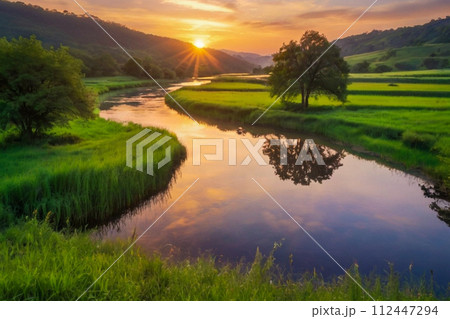 rice fields in the morning 112447294