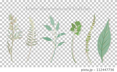 An illustration set of plants with gold line drawings and leaves in gentle colors. white background An illustration set of plants with gold line drawings and leaves in gentle colors. white background 112447736