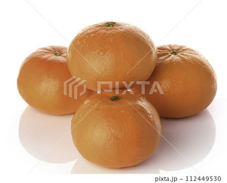 高級みかん はまさき （白バック） 112449530