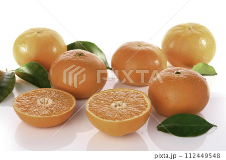 高級みかん はまさき (白バック) 高級みかん はまさき (白バック) 112449548