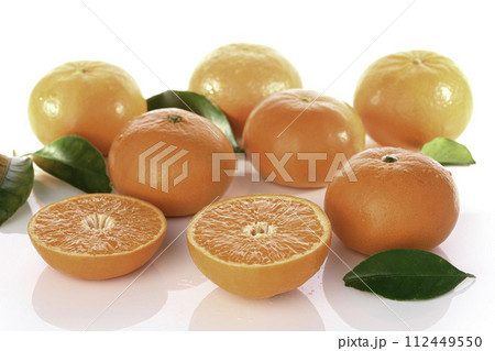 高級みかん はまさき (白バック) 高級みかん はまさき (白バック) 112449550