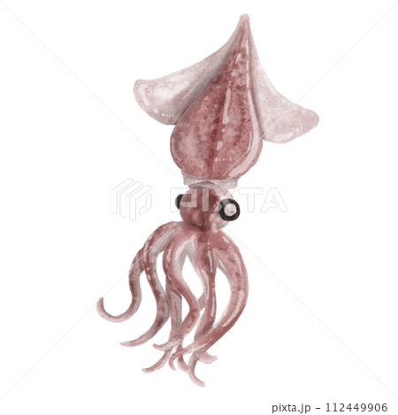 ホタルイカのイラスト 112449906