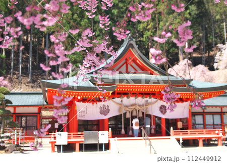 金櫻神社と桜 112449912