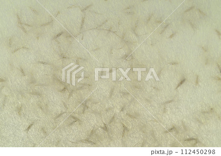 和紙とススキの小穂のコラボ(背景素材) 和紙とススキの小穂のコラボ(背景素材) 112450298