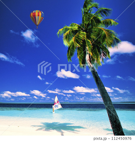 インド洋の美しいサンゴ礁の海 112450976