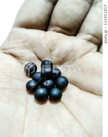 Nightshade black berries with selective focus Nightshade black berries with selective focus 112451817