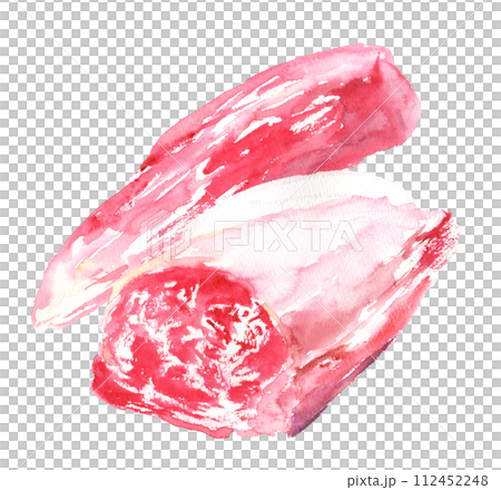 水彩で描いたヒレ頭のイラスト 112452248