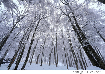 雪の白馬山 112452295