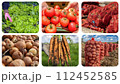Vegetable Crop Production. Carrot, Potato, Onion and Pepper Harvesting. Sustainable Agriculture and Food Production  - Photo Collage 112452585