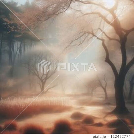 霧に包まれた森 112452774