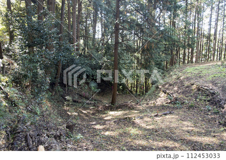 千福城跡 大掘切 千福城跡 大掘切 112453033