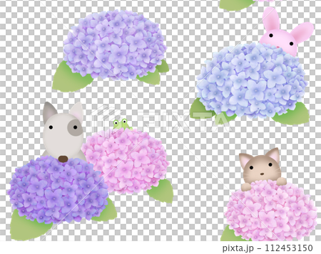 繡球花與動物無縫圖案 B-1 (PNG) 112453150