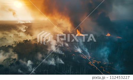 A fire is burning in the forest and the sky is orange A fire is burning in the forest and the sky is orange 112453227