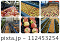 Apple Processing in Packing House.  Apple Washing, Sorting, Grading and Packing Line. Fresh Apples Moving Along Conveyor Belt - Photo Collage  112453254