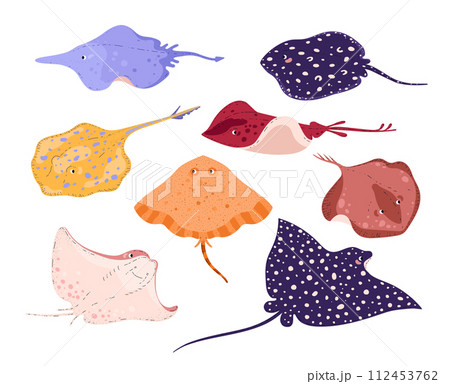 Stingrays, set of vector illustration isolated on white, flat cartoon style Stingrays, set of vector illustration isolated on white, flat cartoon style 112453762
