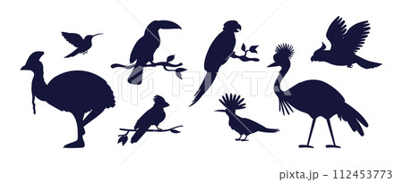 Dark blue silhouettes of different tropical birds flat style 112453773