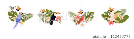 Tropical flora and fauna vector illustration paradise set, cockatoo, toucan, aru and red cardinal birds, exotic flowers 112453775