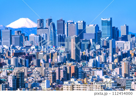 日本の東京都市景観 新景。富士山と新宿副都心などを望む。新名所・東急歌舞伎町タワーの威容も 112454000