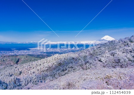 （静岡県）雪化粧した伊豆スカイライン、池の向展望台から眺める伊豆東部と富士山 112454039