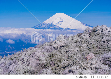 (静岡県)雪化粧した伊豆スカイライン、池の向展望台から眺める伊豆東部と富士山 (静岡県)雪化粧した伊豆スカイライン、池の向展望台から眺める伊豆東部と富士山 112454042