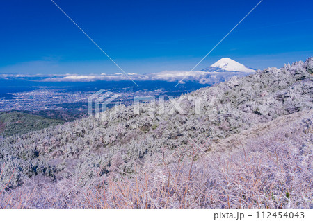 (静岡県)雪化粧した伊豆スカイライン、池の向展望台から眺める伊豆東部と富士山 (静岡県)雪化粧した伊豆スカイライン、池の向展望台から眺める伊豆東部と富士山 112454043