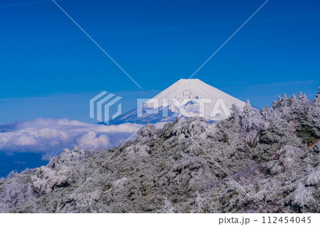 （静岡県）雪化粧した伊豆スカイライン、池の向展望台から眺める伊豆東部と富士山 112454045