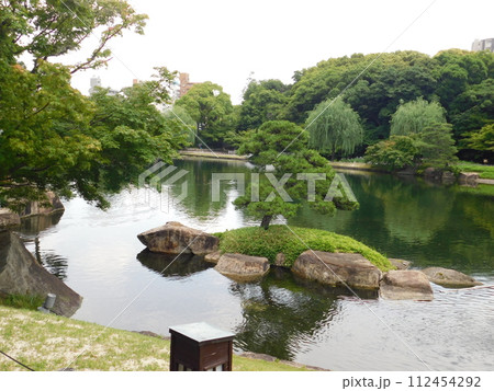 亀の形の池の岩 112454292